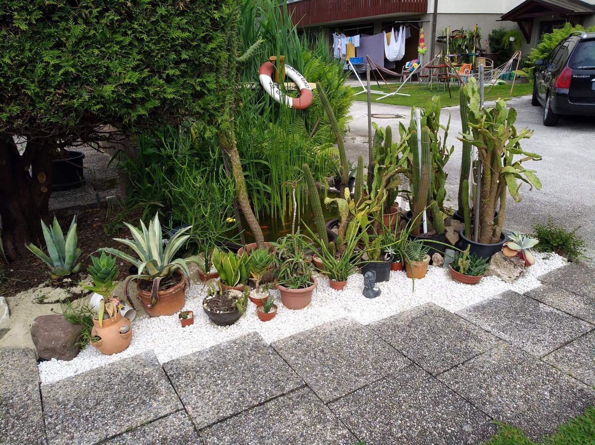 Haus Friedburg Lejlighed Velden am Wörthersee Eksteriør billede